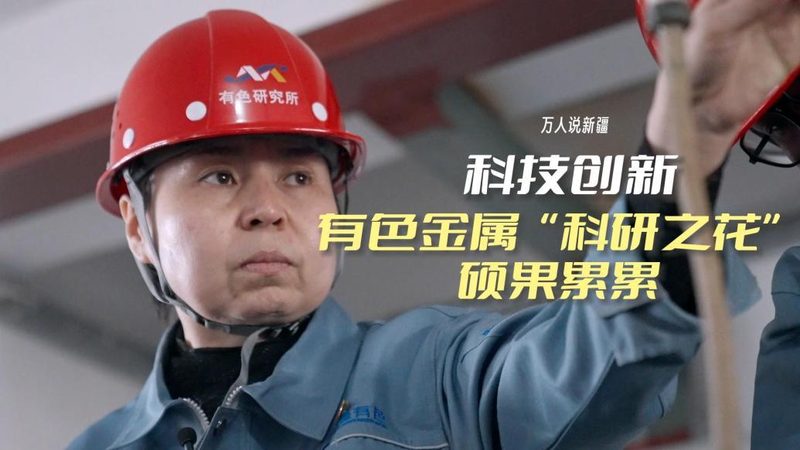 低代码平台如何助力上海公司快速构建应用？**