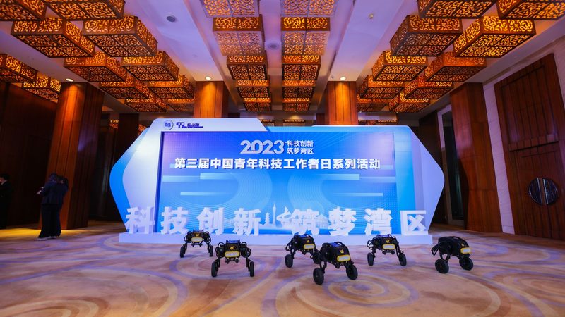 企业搜索安全配置：构建安全高效的搜索生态**